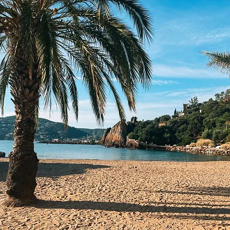 La Terrasse De L'esterel Appartement *